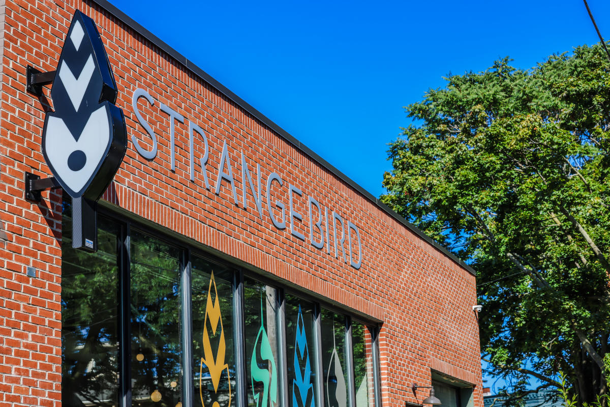 Strangebird featured image